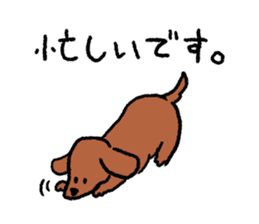 Miniature Dachshund<Dog breed> sticker #15039938