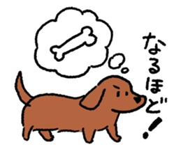 Miniature Dachshund<Dog breed> sticker #15039946
