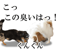 A good friend Wanko (Dachs & Papillon) sticker #15040061