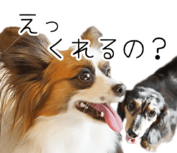 A good friend Wanko (Dachs & Papillon) sticker #15040063