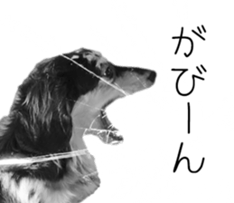A good friend Wanko (Dachs & Papillon) sticker #15040065
