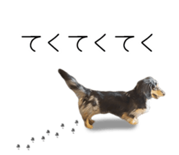 A good friend Wanko (Dachs & Papillon) sticker #15040067