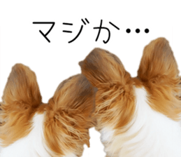 A good friend Wanko (Dachs & Papillon) sticker #15040069