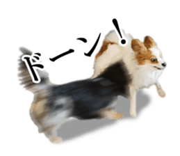 A good friend Wanko (Dachs & Papillon) sticker #15040070