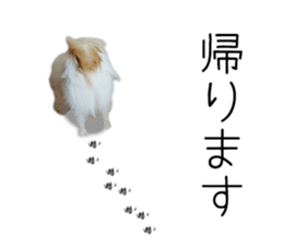 A good friend Wanko (Dachs & Papillon) sticker #15040071