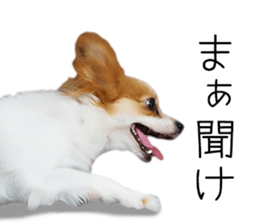 A good friend Wanko (Dachs & Papillon) sticker #15040072