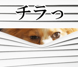 A good friend Wanko (Dachs & Papillon) sticker #15040078