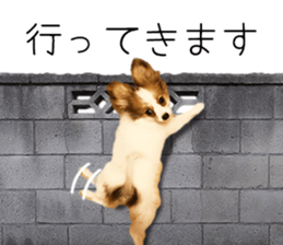 A good friend Wanko (Dachs & Papillon) sticker #15040085