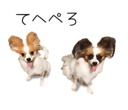 A good friend Wanko (Dachs & Papillon) sticker #15040090