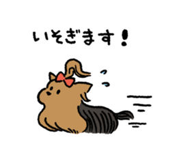 Yorkshire Terrier<Dog breed> sticker #15040303