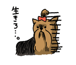 Yorkshire Terrier<Dog breed> sticker #15040305