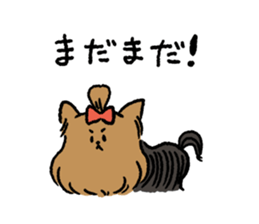Yorkshire Terrier<Dog breed> sticker #15040322