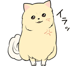 Pomeranian<Dog breed> sticker #15040347