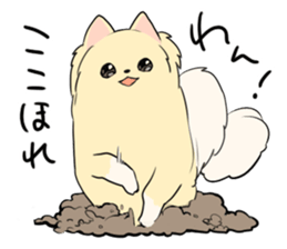 Pomeranian<Dog breed> sticker #15040350