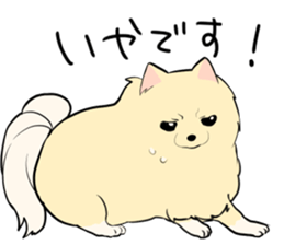 Pomeranian<Dog breed> sticker #15040352