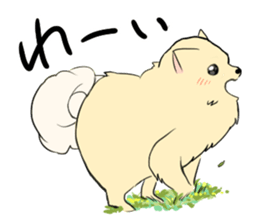 Pomeranian<Dog breed> sticker #15040354