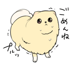 Pomeranian<Dog breed> sticker #15040355