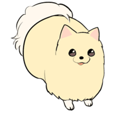 Pomeranian<Dog breed> sticker #15040356