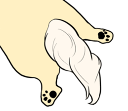 Pomeranian<Dog breed> sticker #15040357