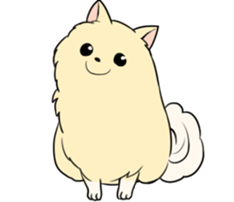 Pomeranian<Dog breed> sticker #15040358