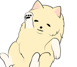 Pomeranian<Dog breed> sticker #15040359