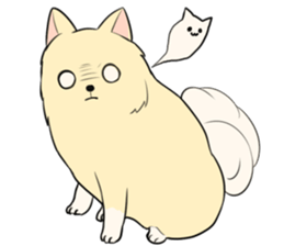 Pomeranian<Dog breed> sticker #15040363