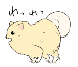 Pomeranian<Dog breed> sticker #15040365