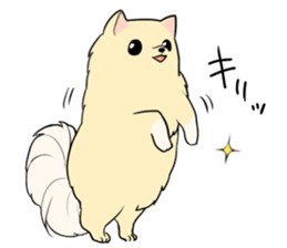 Pomeranian<Dog breed> sticker #15040367