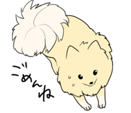 Pomeranian<Dog breed> sticker #15040369