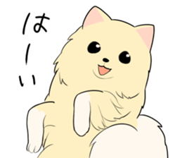Pomeranian<Dog breed> sticker #15040370