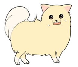 Pomeranian<Dog breed> sticker #15040371
