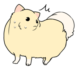 Pomeranian<Dog breed> sticker #15040372