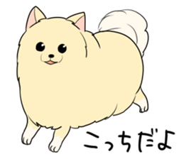 Pomeranian<Dog breed> sticker #15040376