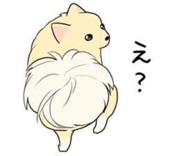 Pomeranian<Dog breed> sticker #15040378