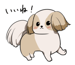 Shih Tzu<Dog breed> sticker #15040820