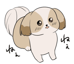 Shih Tzu<Dog breed> sticker #15040821