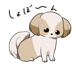 Shih Tzu<Dog breed> sticker #15040825