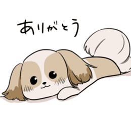 Shih Tzu<Dog breed> sticker #15040827