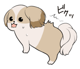 Shih Tzu<Dog breed> sticker #15040828