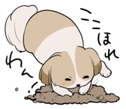 Shih Tzu<Dog breed> sticker #15040835