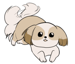 Shih Tzu<Dog breed> sticker #15040839