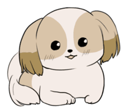 Shih Tzu<Dog breed> sticker #15040842