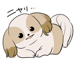 Shih Tzu<Dog breed> sticker #15040844