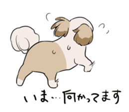 Shih Tzu<Dog breed> sticker #15040845