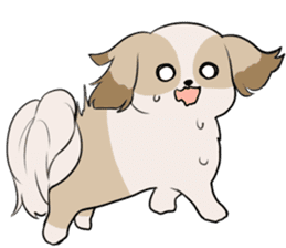 Shih Tzu<Dog breed> sticker #15040851