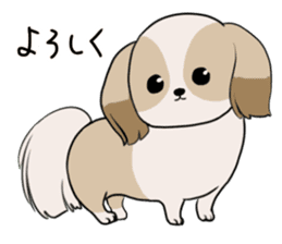 Shih Tzu<Dog breed> sticker #15040856