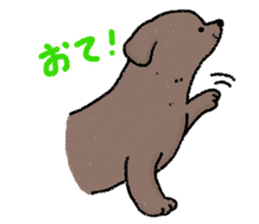 Labrador Retriever(Black)<Dog breed> sticker #15041506