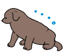 Labrador Retriever(Black)<Dog breed> sticker #15041520