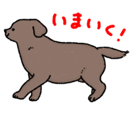 Labrador Retriever(Black)<Dog breed> sticker #15041526