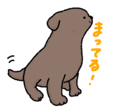 Labrador Retriever(Black)<Dog breed> sticker #15041539